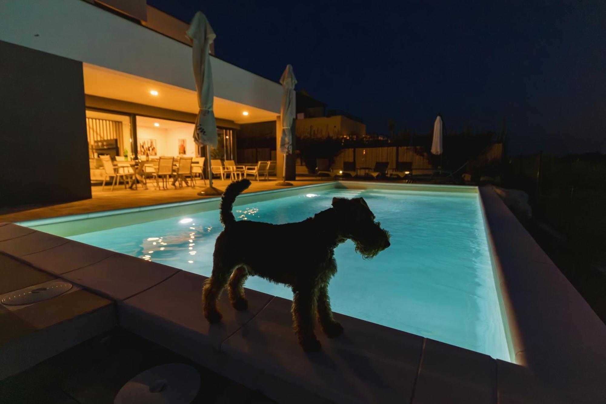 Villa Boiky - Private Pool And Amazing Sea View, Istria Materada Zewnętrze zdjęcie