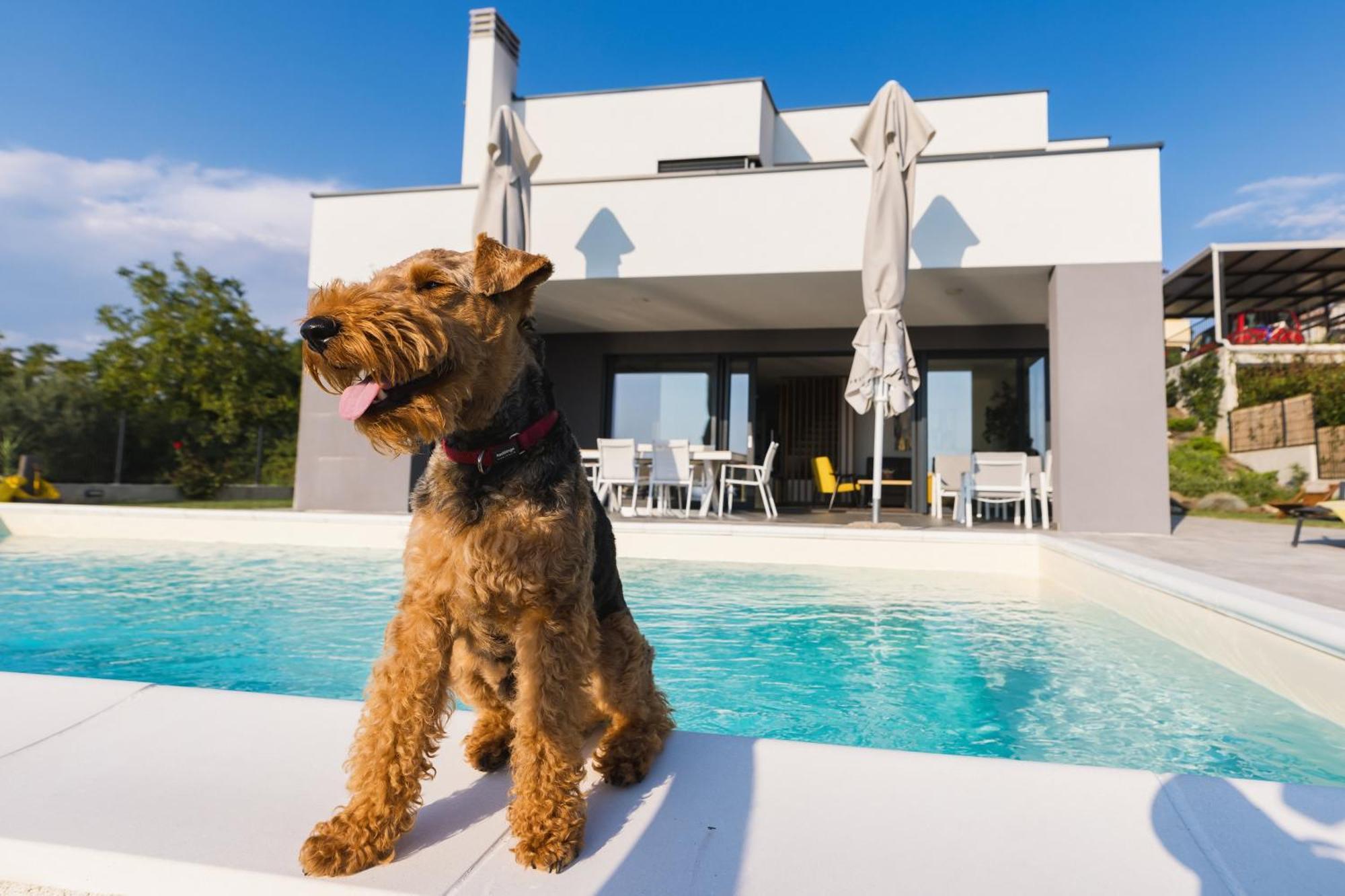 Villa Boiky - Private Pool And Amazing Sea View, Istria Materada Zewnętrze zdjęcie